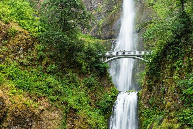 Afternoon Half-Day Multnomah Falls and Columbia River Gorge Waterfalls Tour from Portland - Key highlights to know before you go