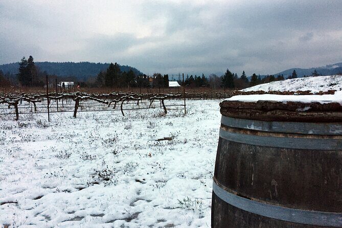 Afternoon Tour in Columbia Gorge Waterfall with Free Wine Tasting - Should you book this Columbia Gorge waterfall and wine afternoon?