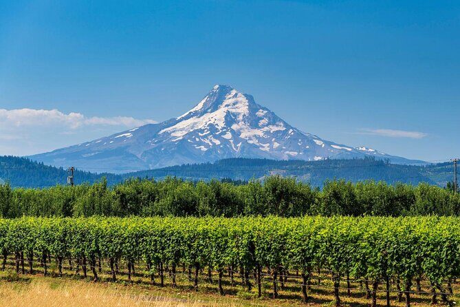 Mount Hood & Columbia River Gorge Air Tour by Envi Adventures - The airplane experience: why this format works so well from Portland