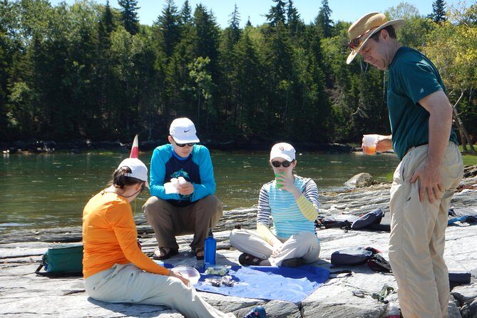 Oyster Farm & Complimentary Tasting Sea Kayak Tour in Casco Bay - How the tour chooses your paddle route: Mere Point vs Love Point