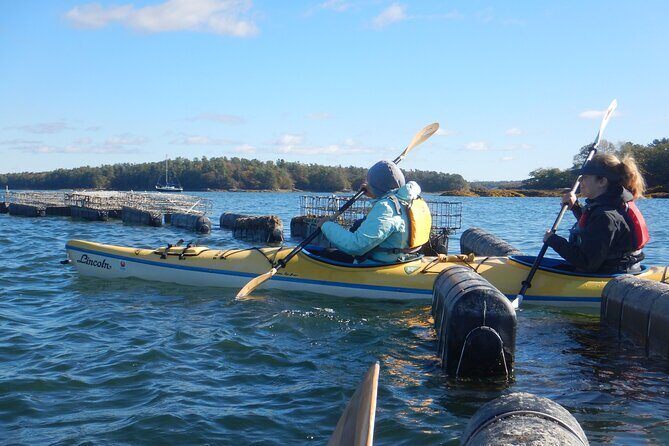 Oyster Farm & Complimentary Tasting Sea Kayak Tour in Casco Bay - Oyster farming basics you’ll remember on your next coastal trip