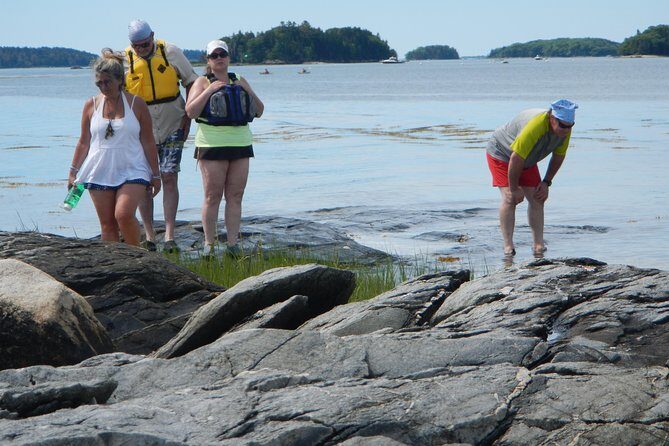 Oyster Farm & Complimentary Tasting Sea Kayak Tour in Casco Bay - Carrying your own kayak: the one detail that can change the comfort level