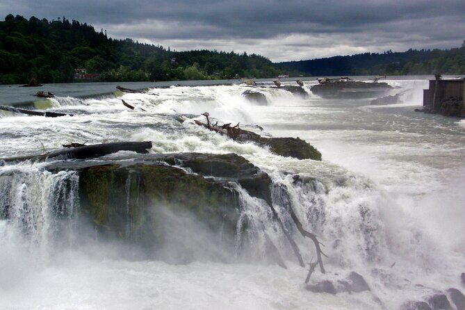 Scenic 2-Hour River Cruise to the Majestic Willamette Falls! - The Scenic Build-Up: Bridges, Islands, and River Views Upstream