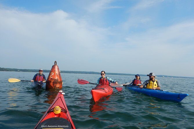Sea Kayak to an Island Tour in Casco Bay - Price and what you actually get for $89