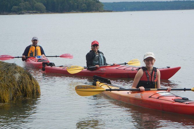 Sea Kayak to an Island Tour in Casco Bay - NW Casco Bay paddling: views, birds, and working water